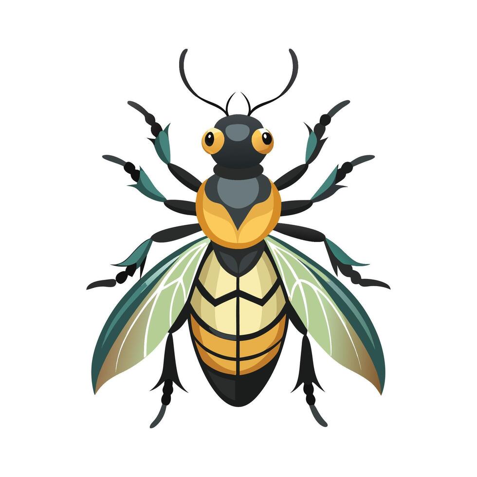 Meloe Proscarabaeus Stunning Representation vector