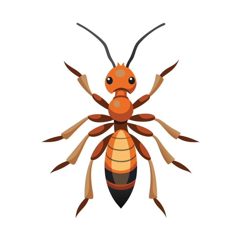Myrmeleon Formicarius Stunning Representation vector