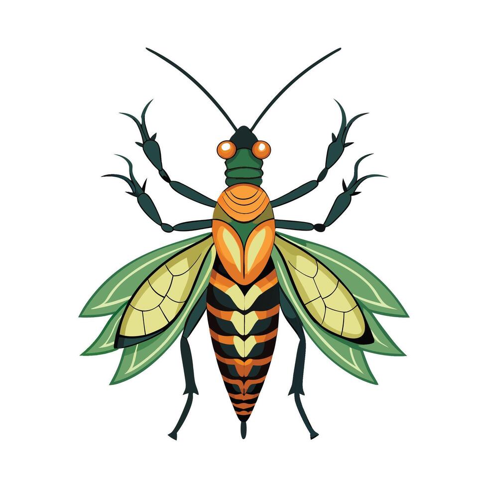 Oecanthus Pellucens Engaging Design vector