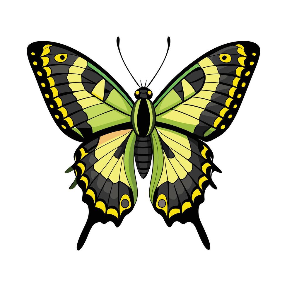 Papilio Cresphontes Stunning Representation vector