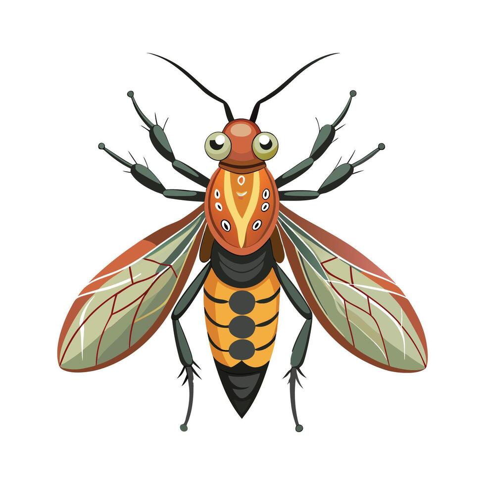 Phaneroptera Nana Engaging Design vector