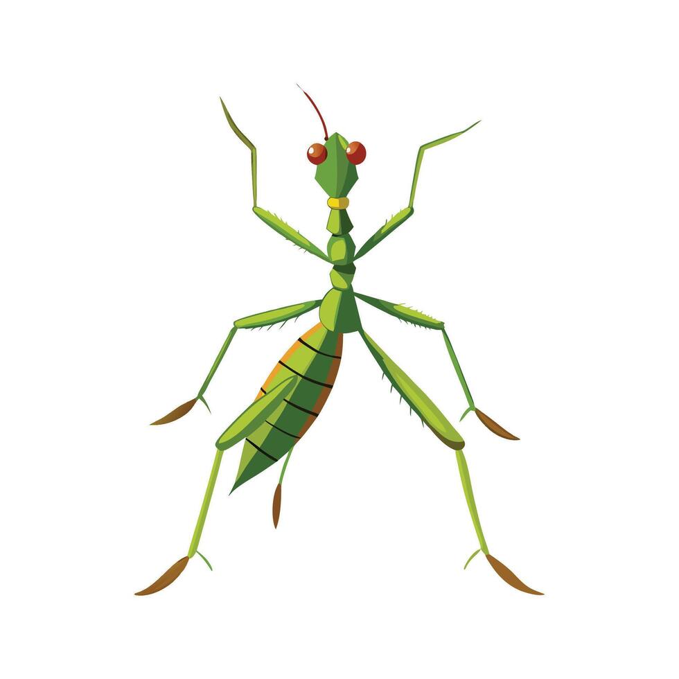 Phyllium Bioculatum Unique Art vector