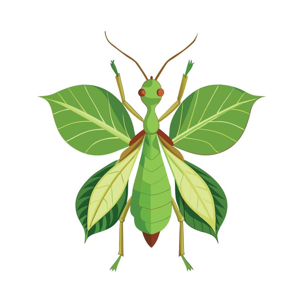 Phyllium Bioculatum Artistic Design vector