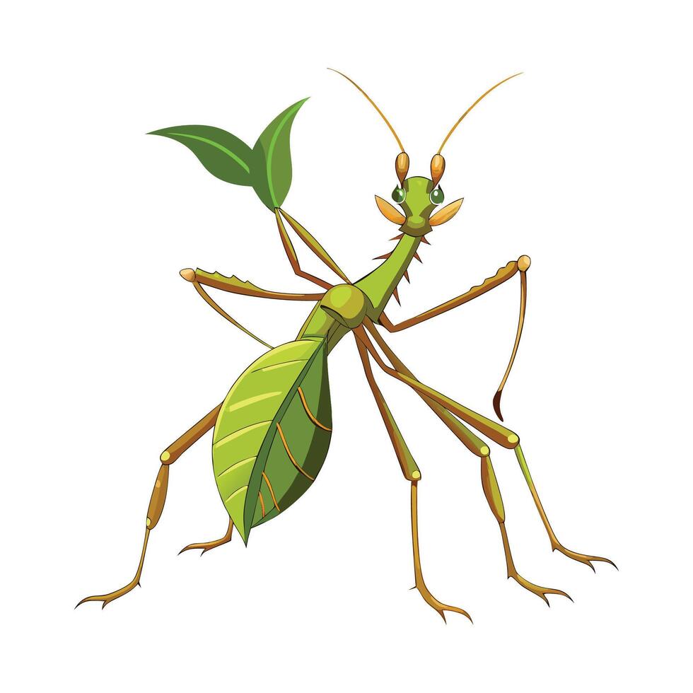 Phyllium Giganteum Artistic Design vector