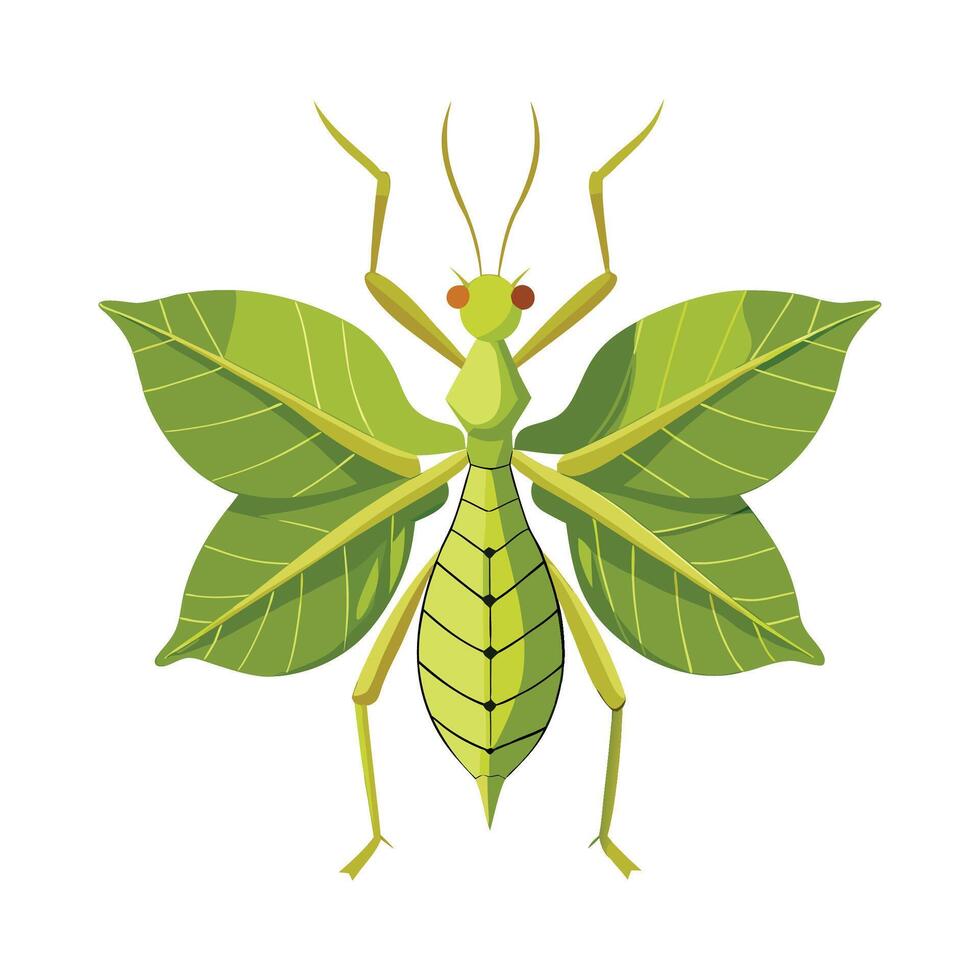 Phyllium Bioculatum Engaging Design vector