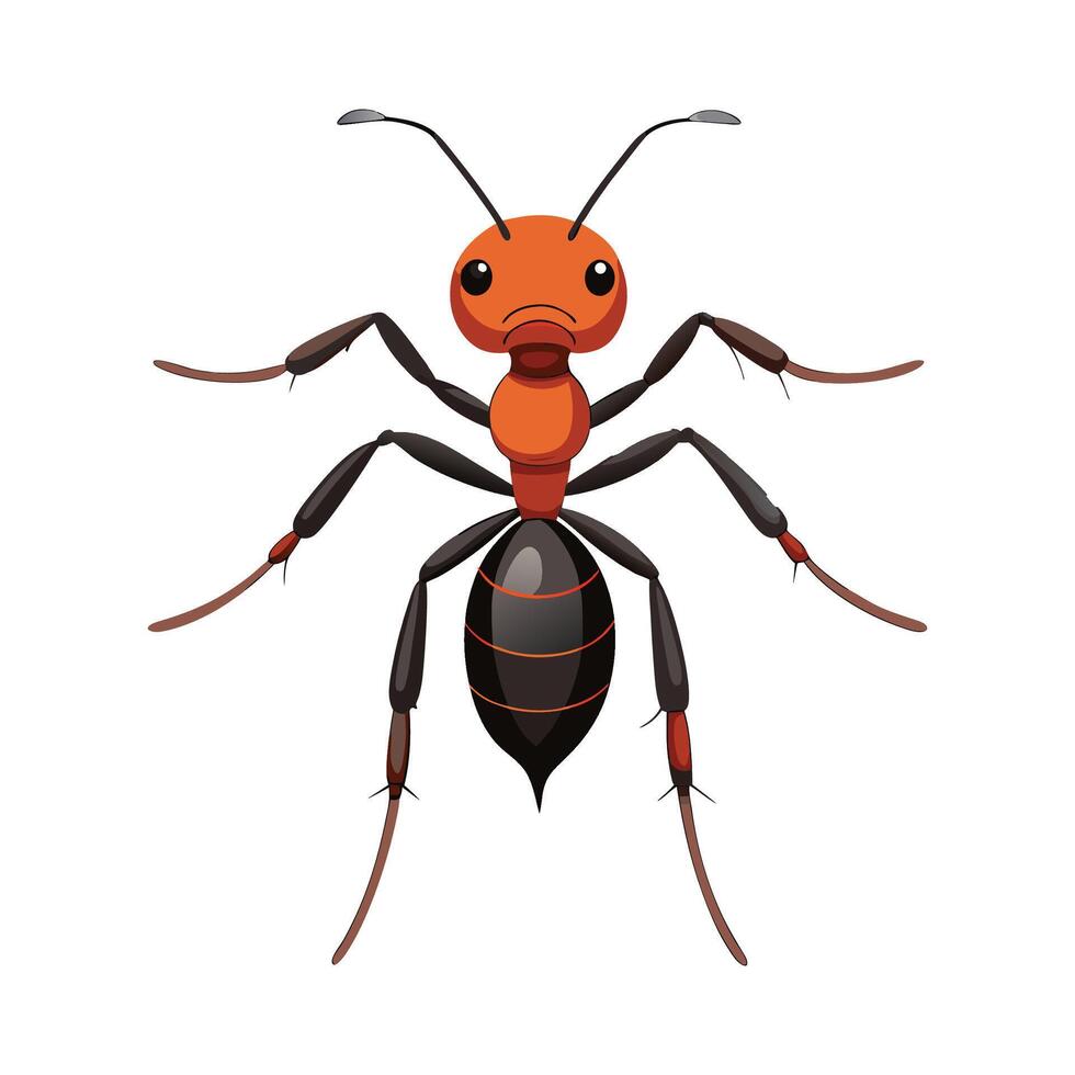 Pogonomyrmex Barbatus Engaging Design vector