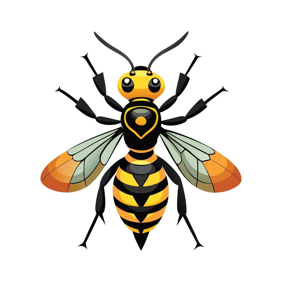 Polistes Dominula Stunning Representation vector
