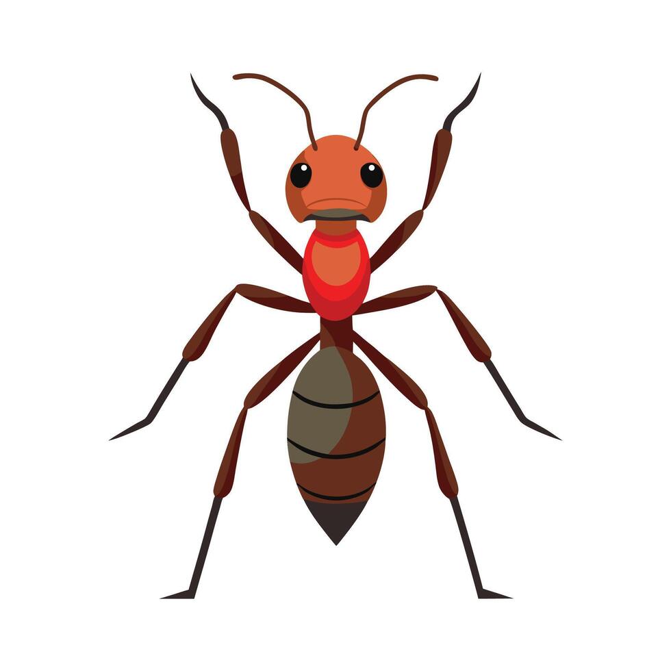 Pogonomyrmex Barbatus Stunning Representation vector