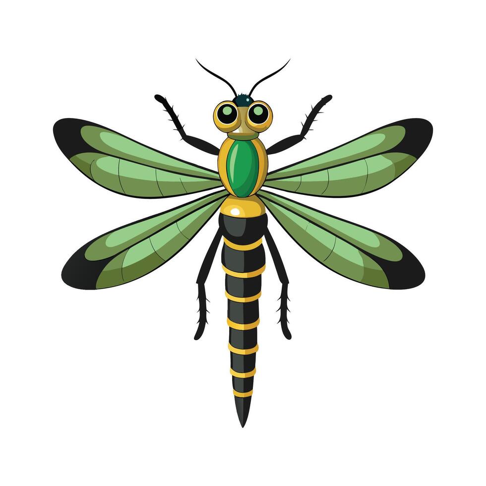 Progomphus Obscurus Engaging Design vector