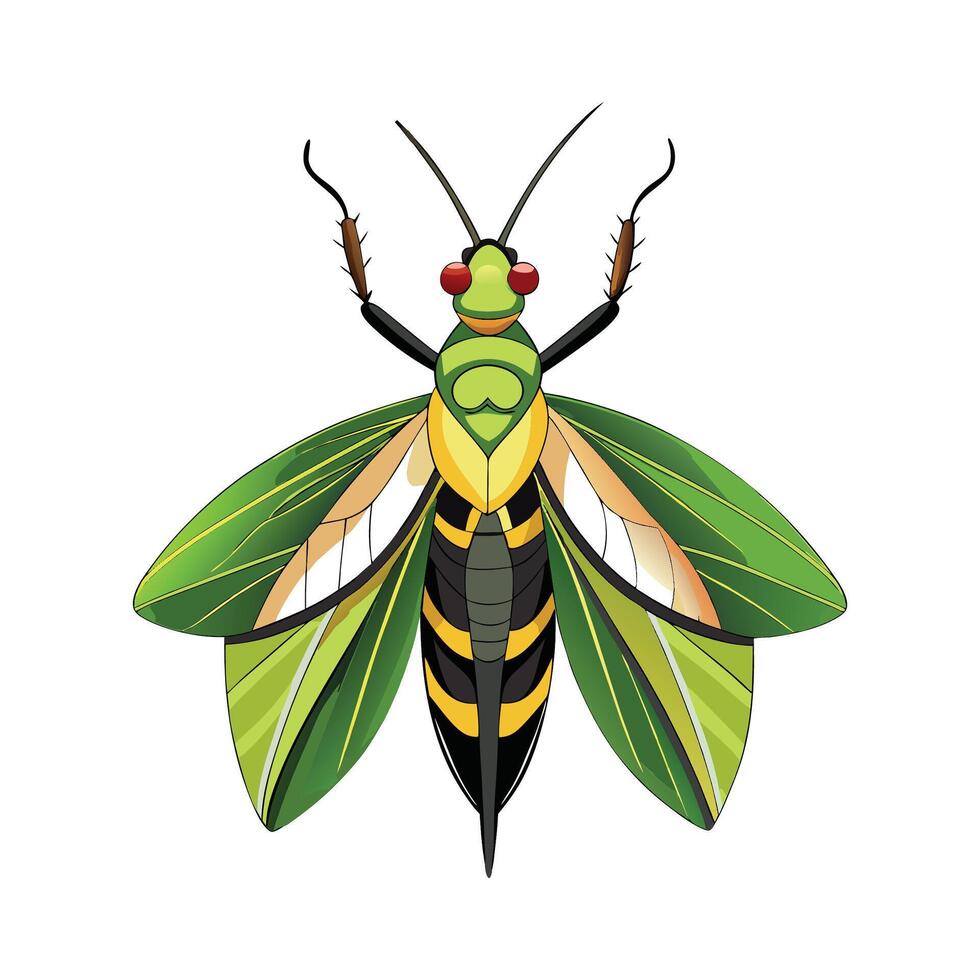 Pseudophasma Rufipes Unique Art vector