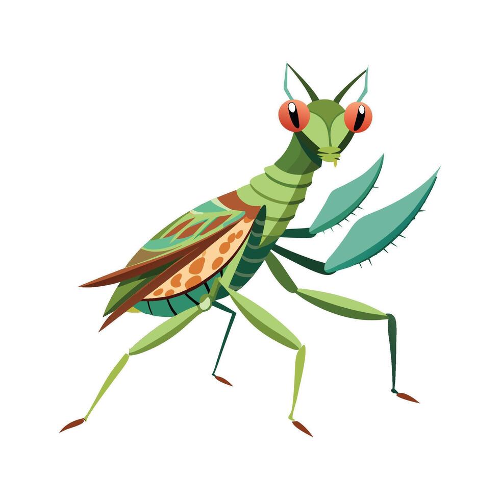 Pseudocreobotra Wahlbergii Engaging Design vector