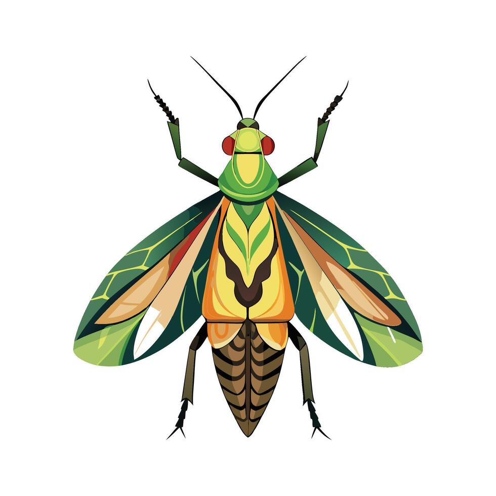 Pseudophasma Rufipes Engaging Design vector