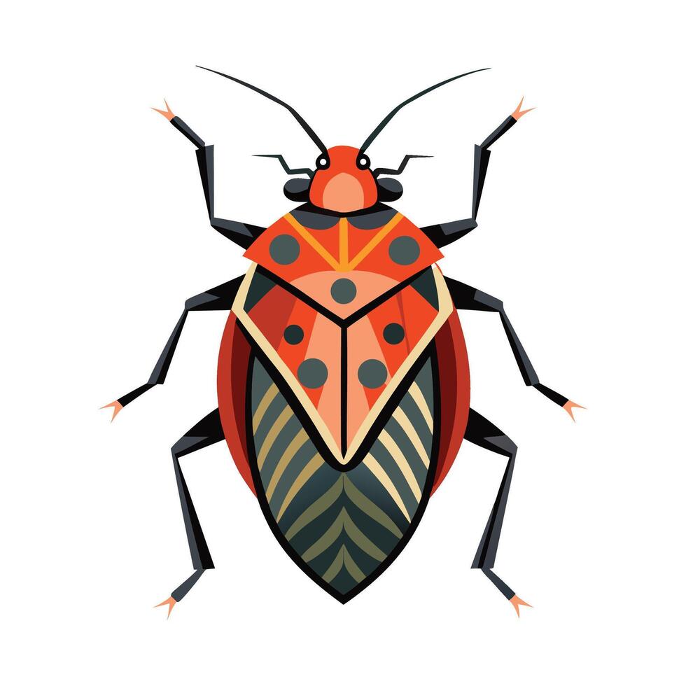Pyrrhocoris Apterus Stunning Representation vector