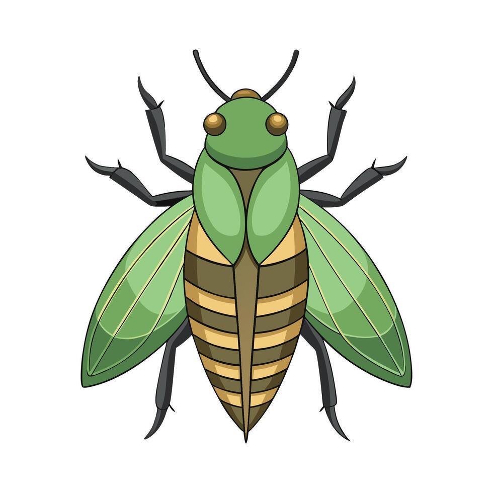 Ruspolia Nitidula Artistic Design vector