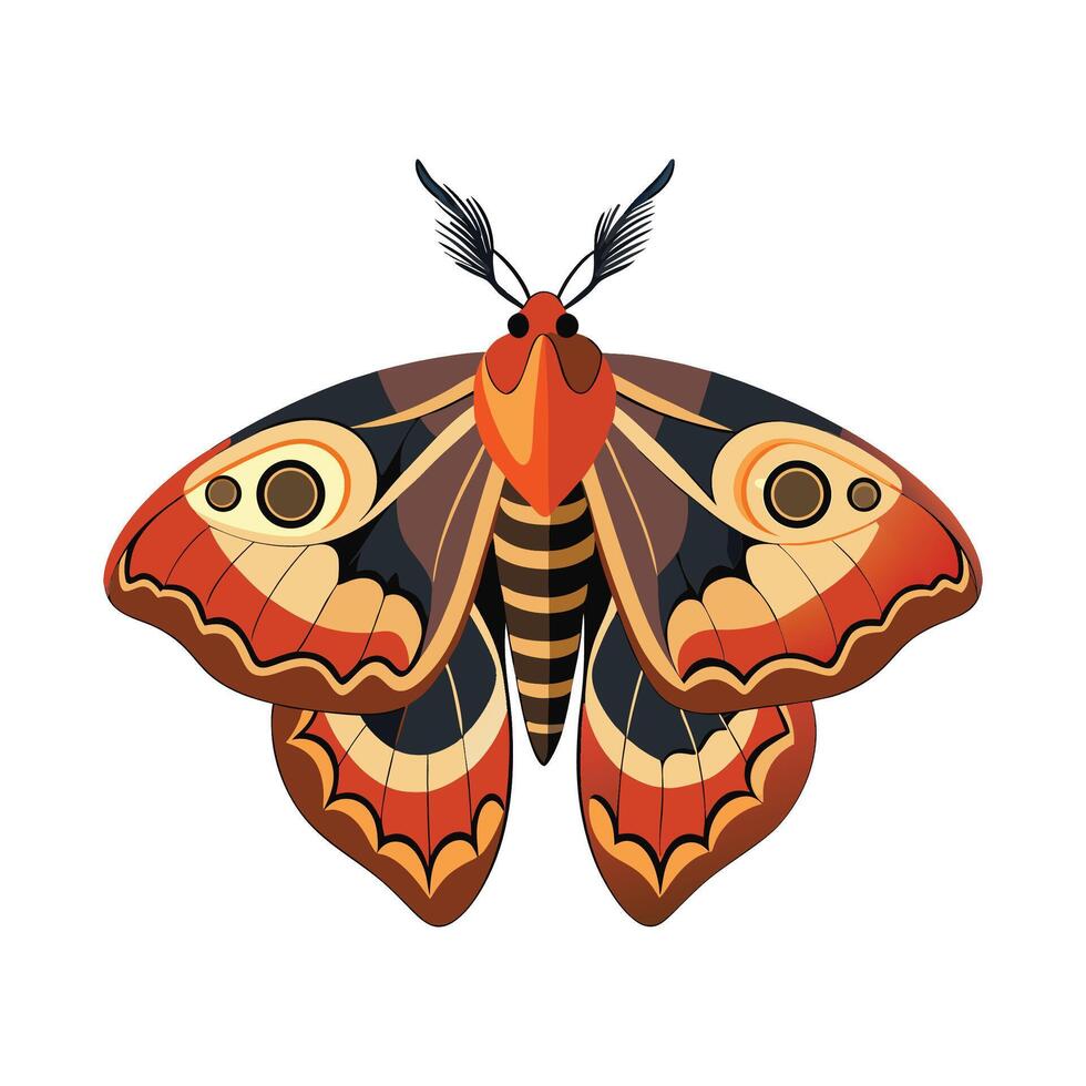 Saturnia Pyri Engaging Design vector