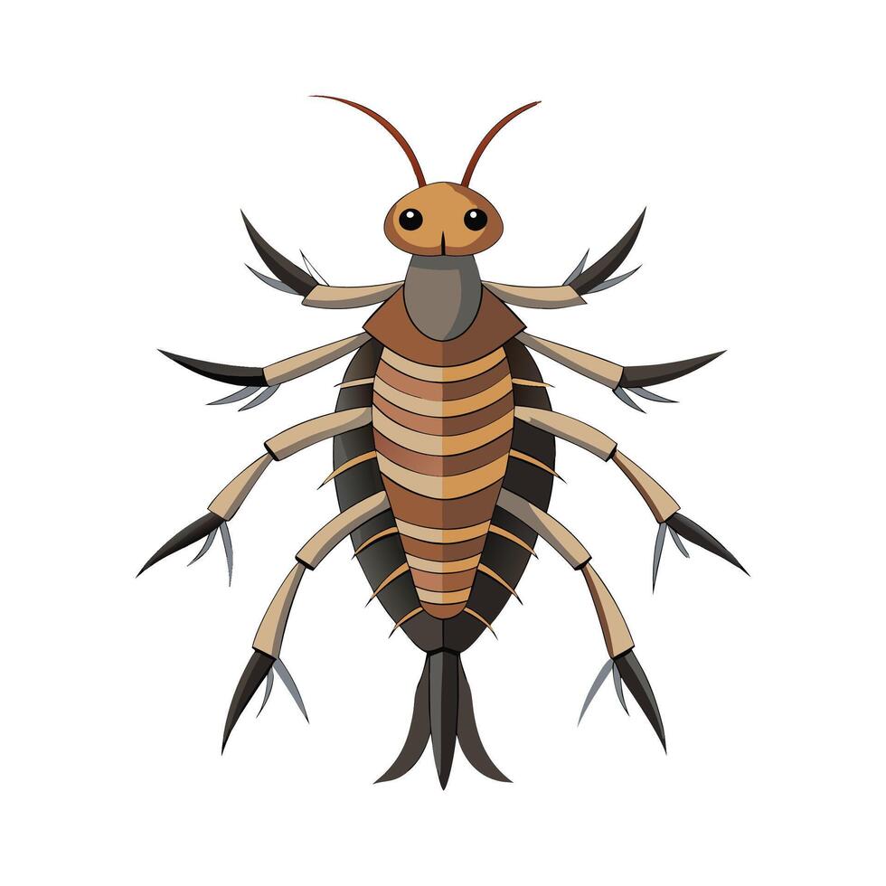 Sipyloidea Sipylus Stunning Representation vector