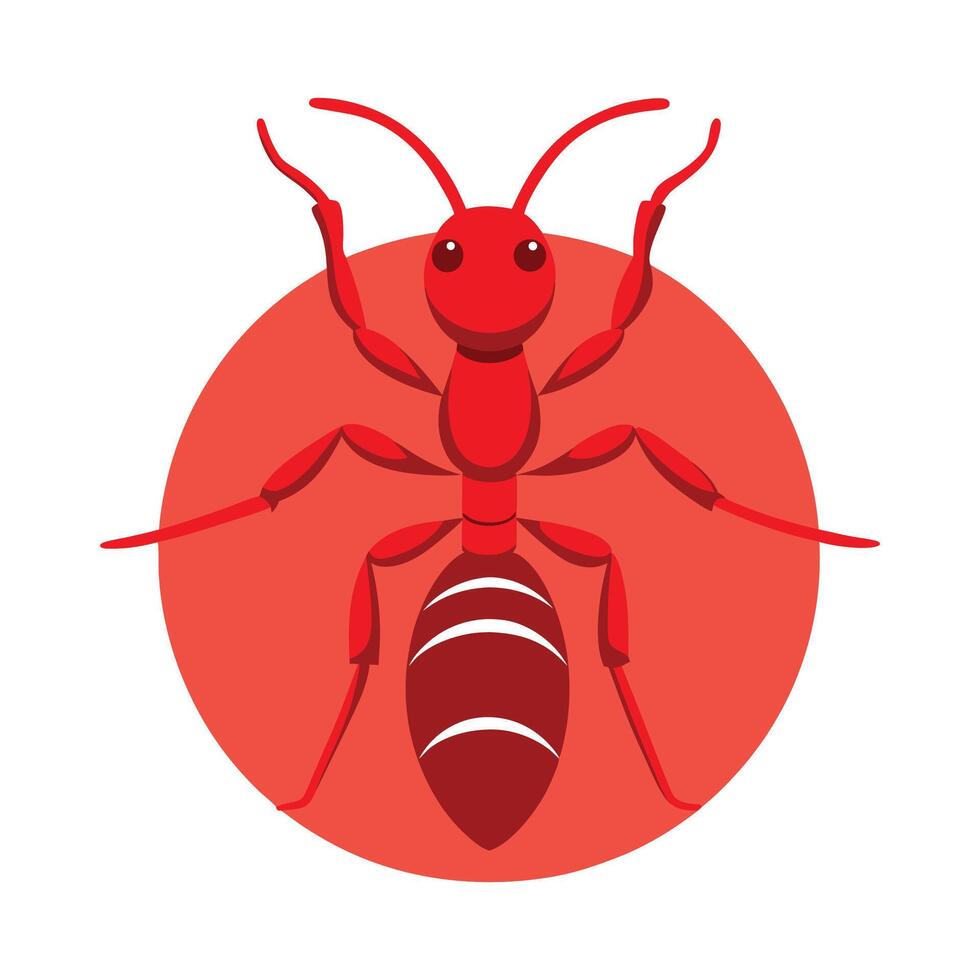 Solenopsis Invicta Engaging Design vector