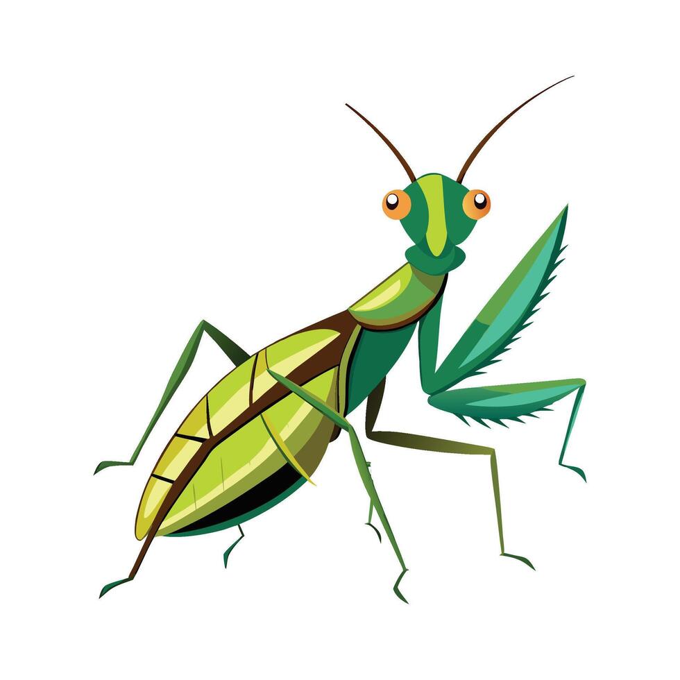 Sphodromantis Lineola Engaging Design vector