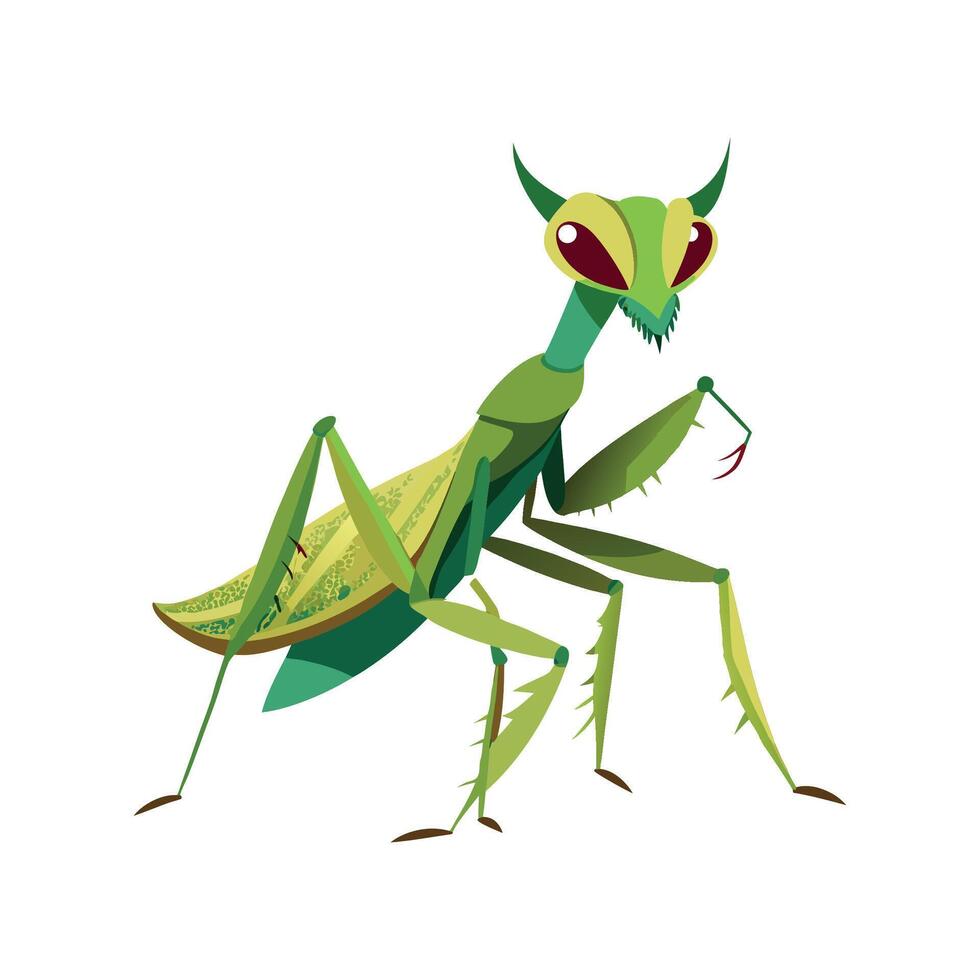 Stagmomantis Carolina Artistic Design vector