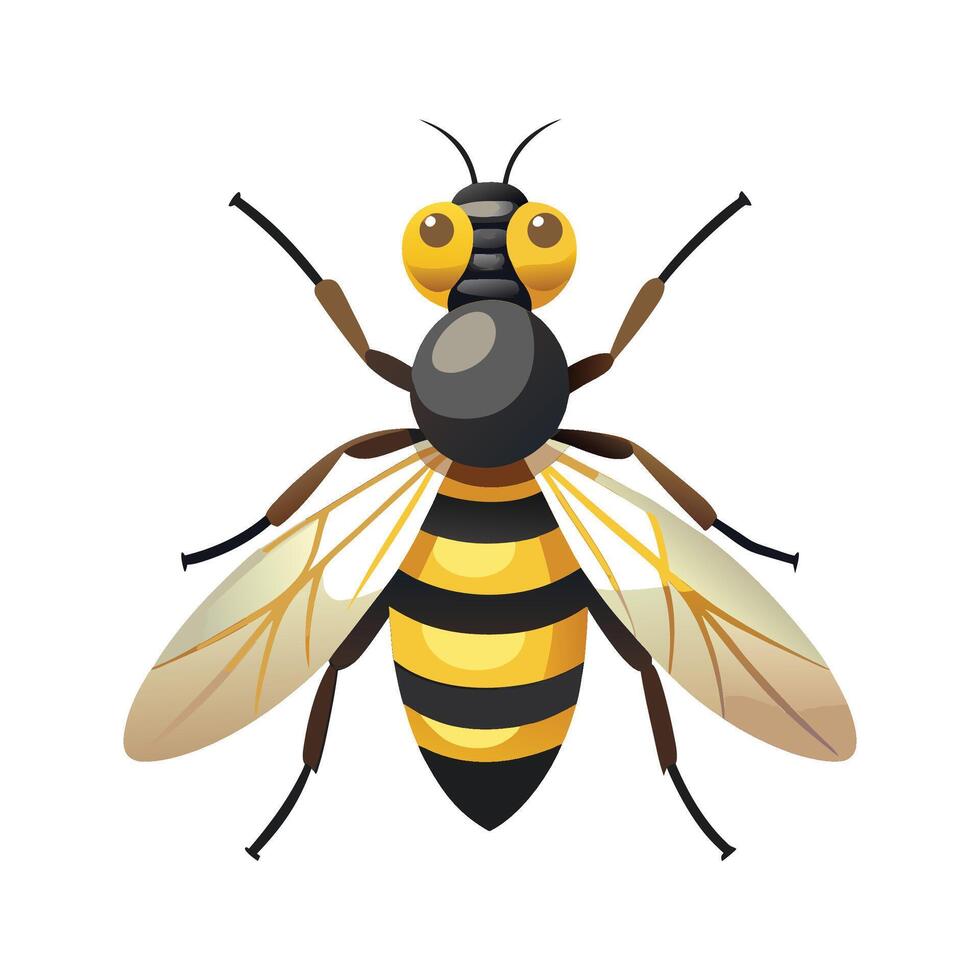 Syrphus Ribesii Unique Art vector