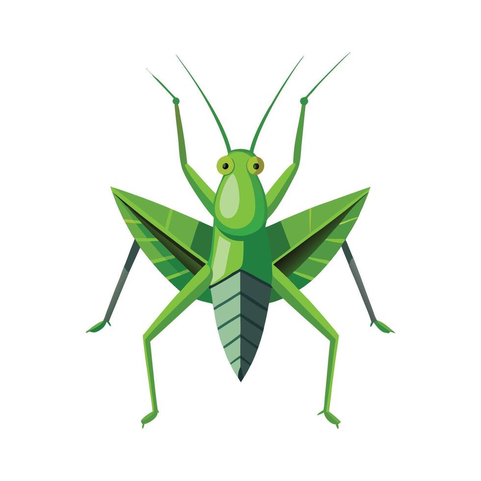 Tettigonia Viridissima Unique Art vector