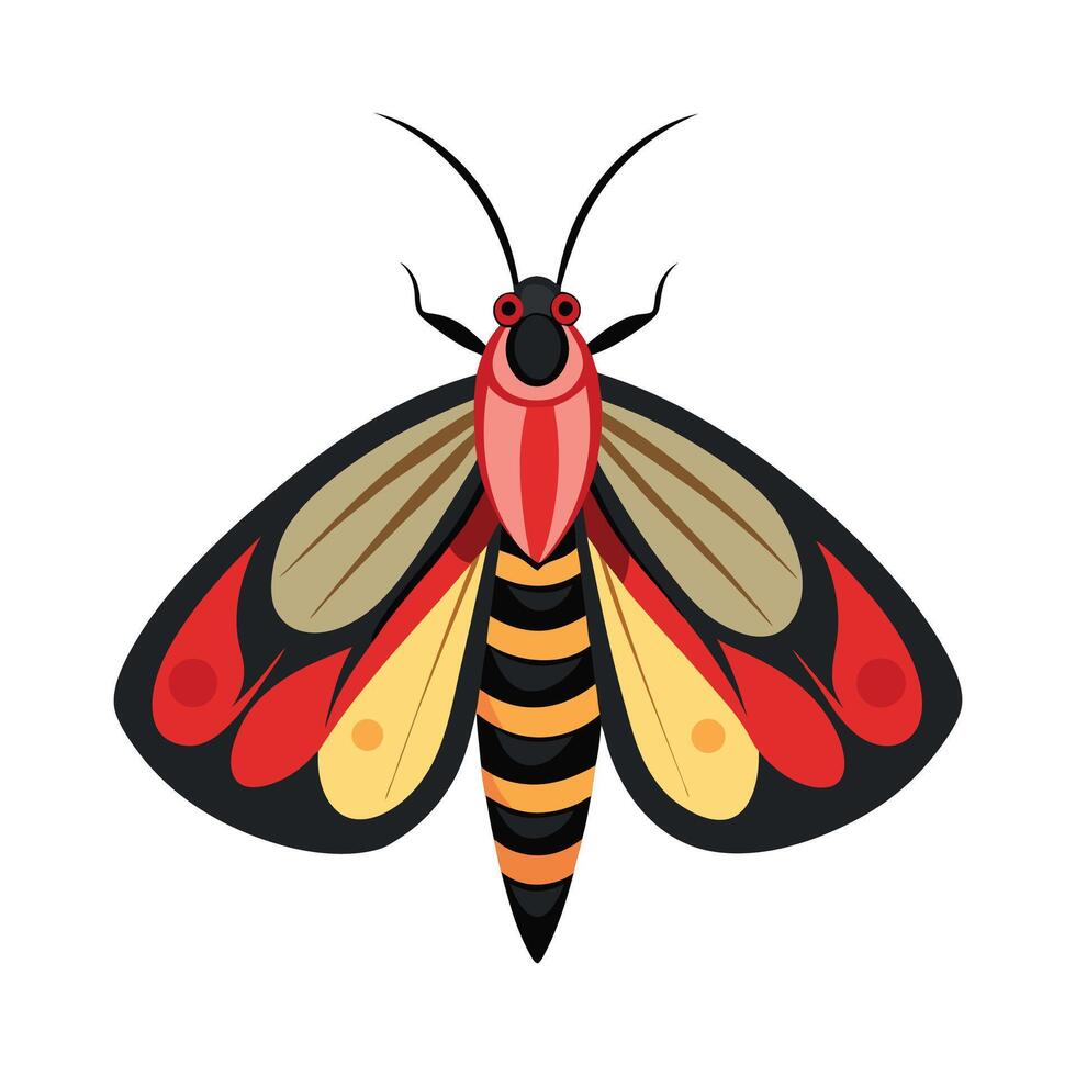 Tropidia Scita Unique Art vector