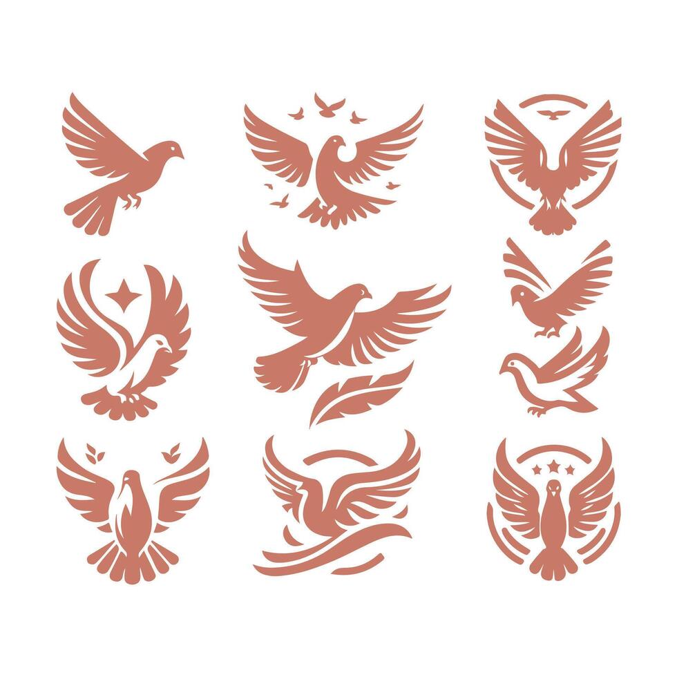 Ashen Pigeon Collection Logo vector