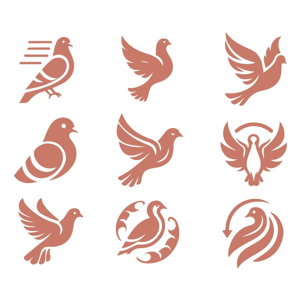 Pigeon Collection Logo Design vector