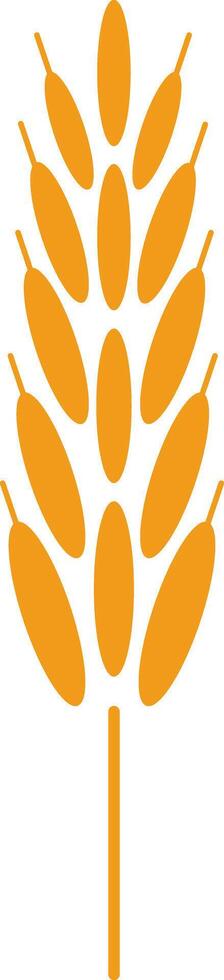 Stylized drawing of an orange ear of wheat representing agriculture, farming, healthy food and organic products, isolated on white background vector