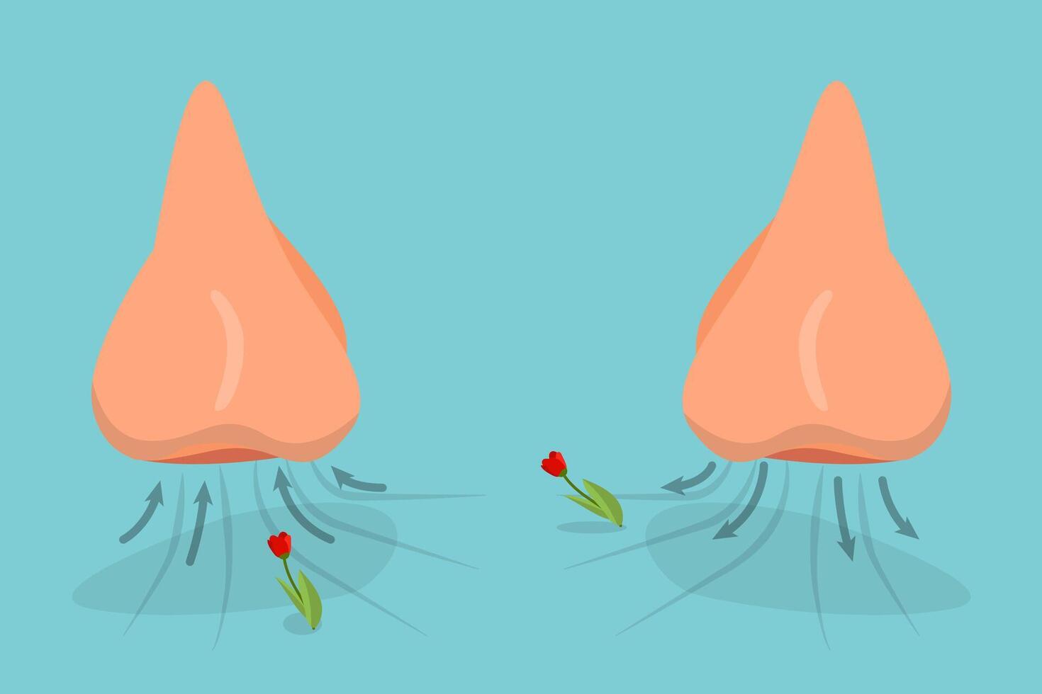 3D Isometric Flat Conceptual Illustration of Nasal Breathing Exercise, Nose Inhales and Exhales vector