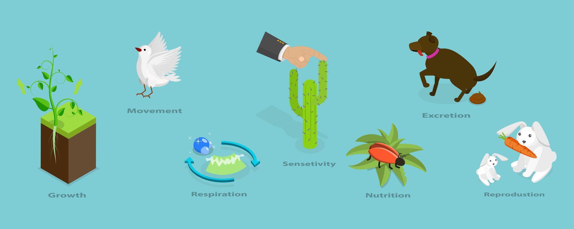 3D Isometric Flat Conceptual Illustration of Characteristics Of Living Things, Educational Diagram vector