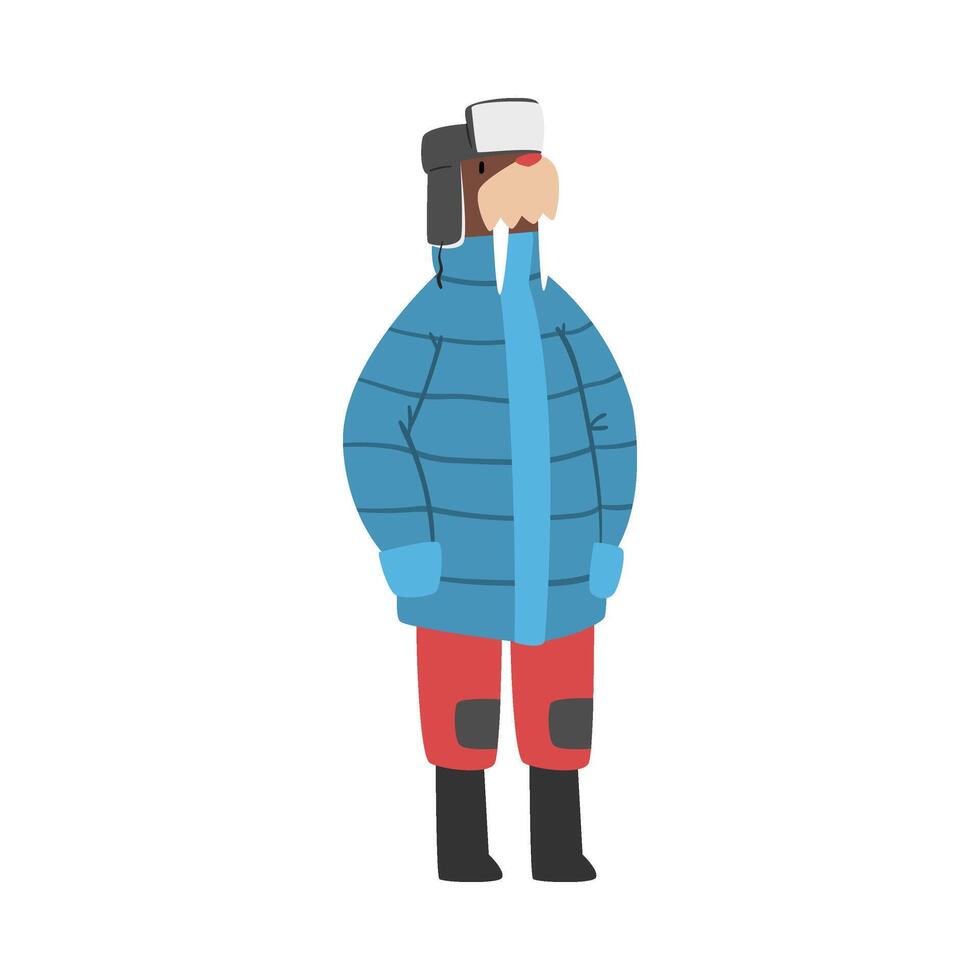 Walrus Wearing Warm Jacket and Hat with Ear Flaps, Humanized Sea Animal Character in Winter Clothes Cartoon illustration vector