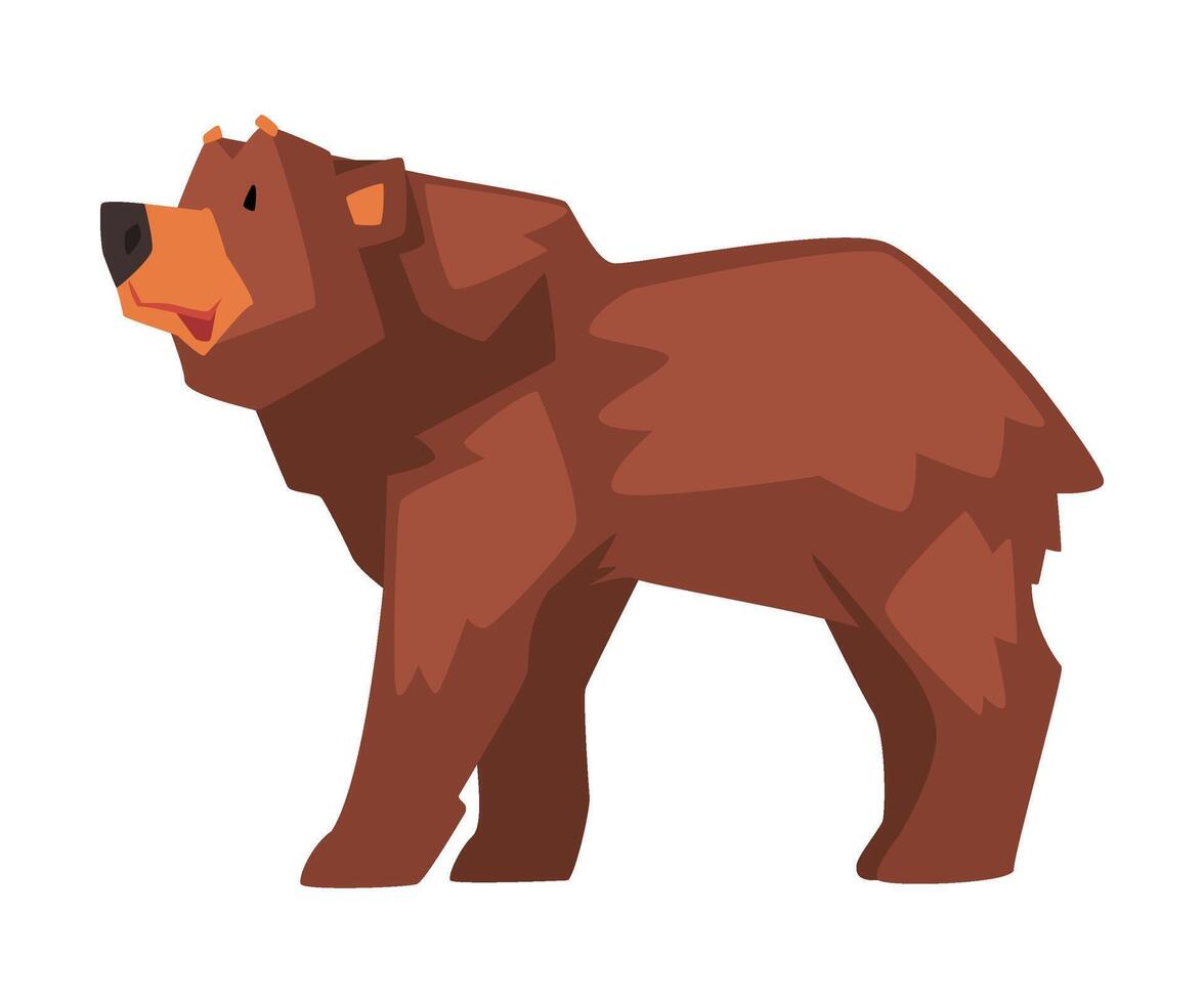 Cute Brown Bear, Wild Forest Animal Character, Side View Cartoon illustration vector