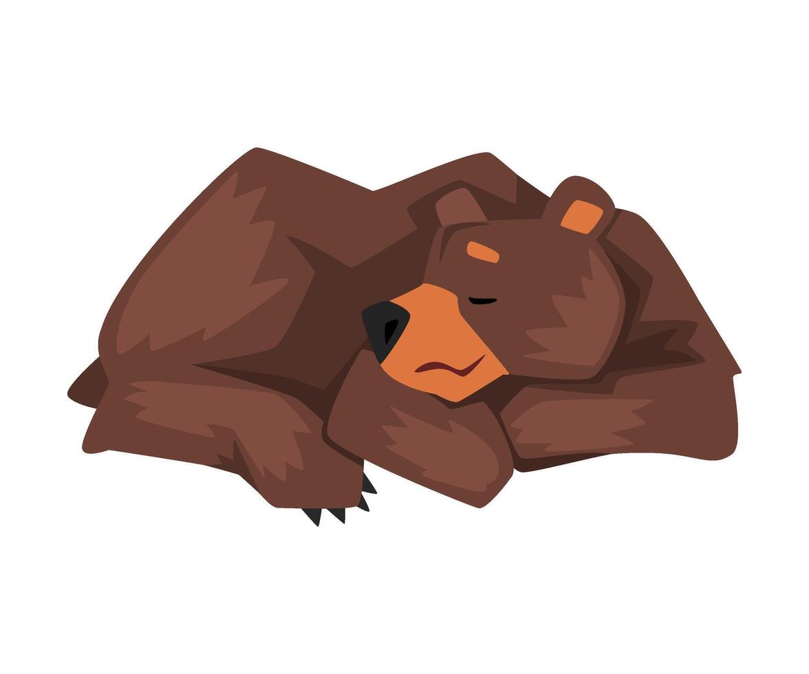 Sleeping Brown Grizzly Bear, Wild Animal Character Lying Cartoon illustration vector