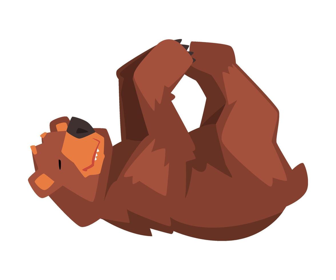 Cute Brown Bear Lying on His Back, Wild Forest Animal Character Cartoon illustration vector