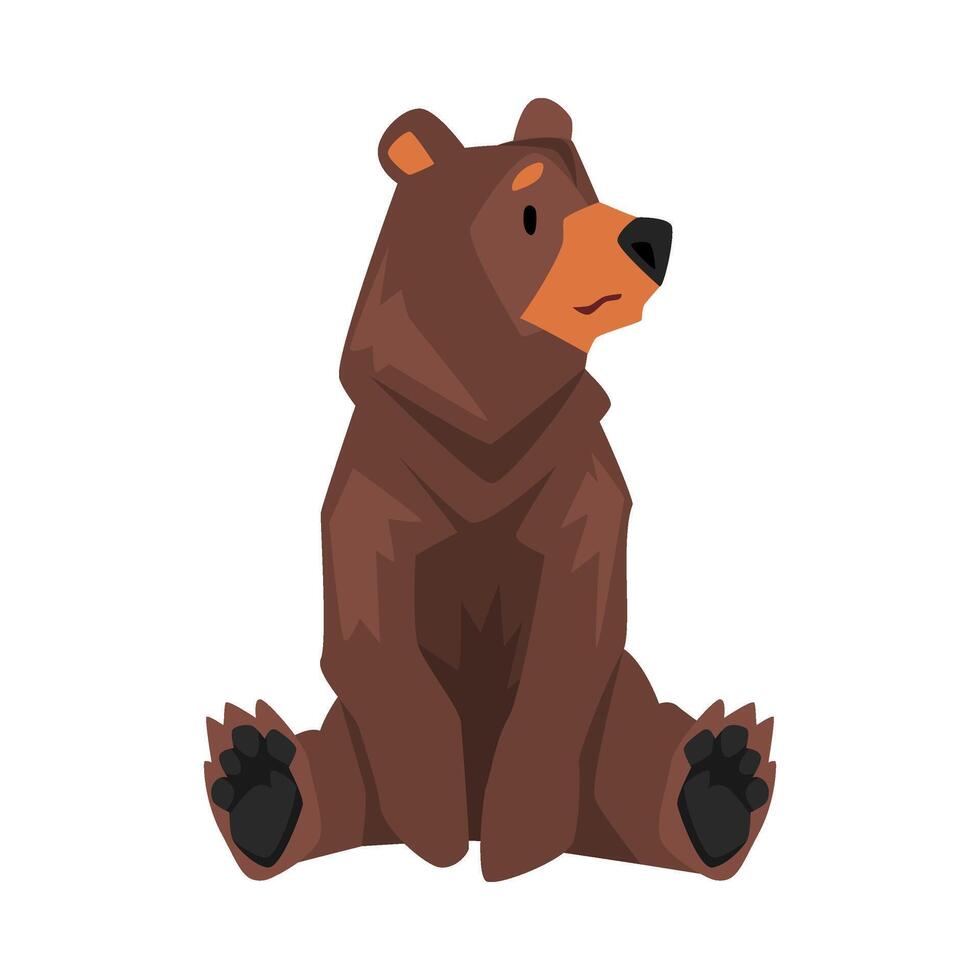 Sitting Brown Grizzly Bear, Wild Animal Character Cartoon illustration vector
