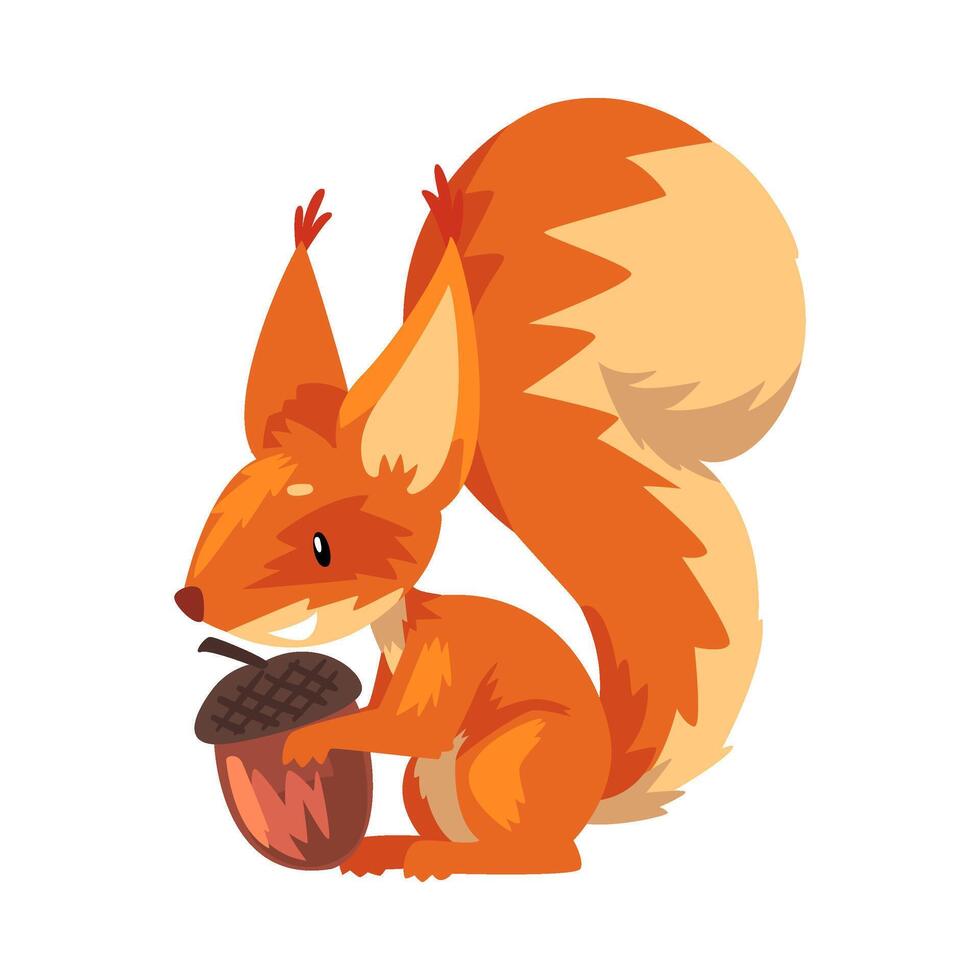 Cute Squirrel with Acorn, Funny Little Orange Rodent Animal Cartoon Character illustration vector