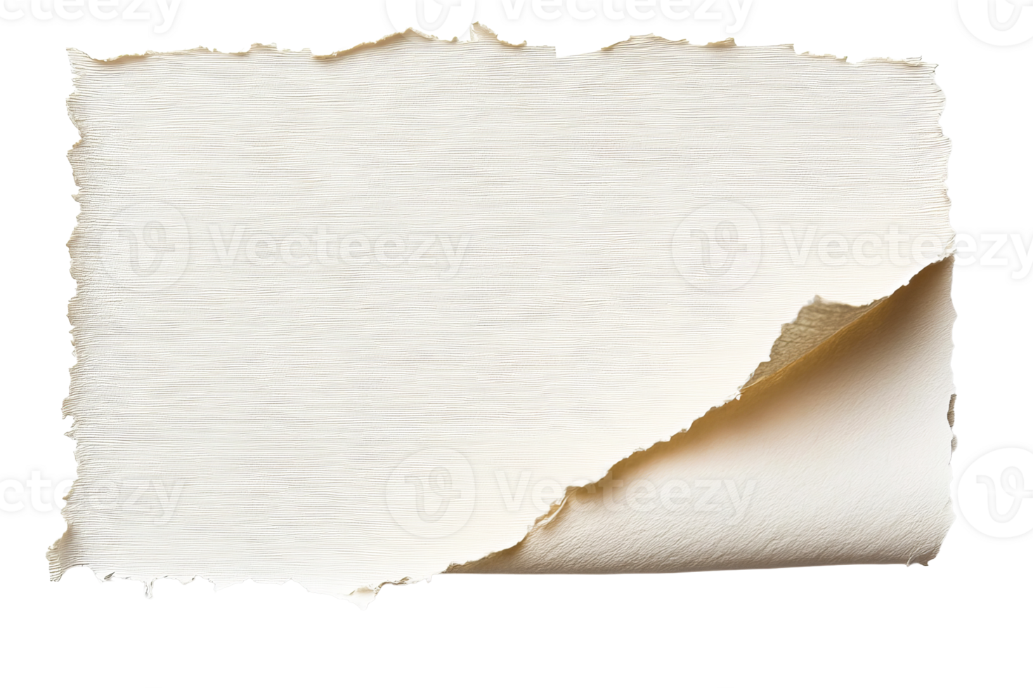 Torn paper with a textured surface and transparent background png