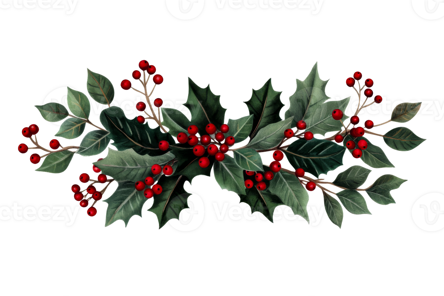 Holly branches with red berries on a clear background png
