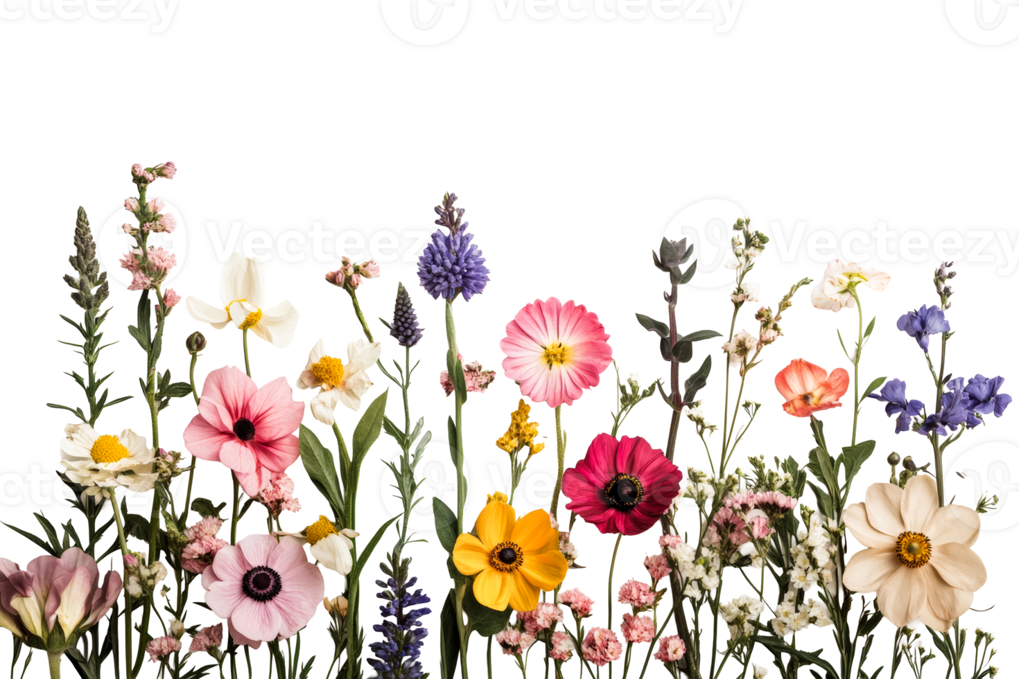 Vibrant garden flowers on transparent background for design use png