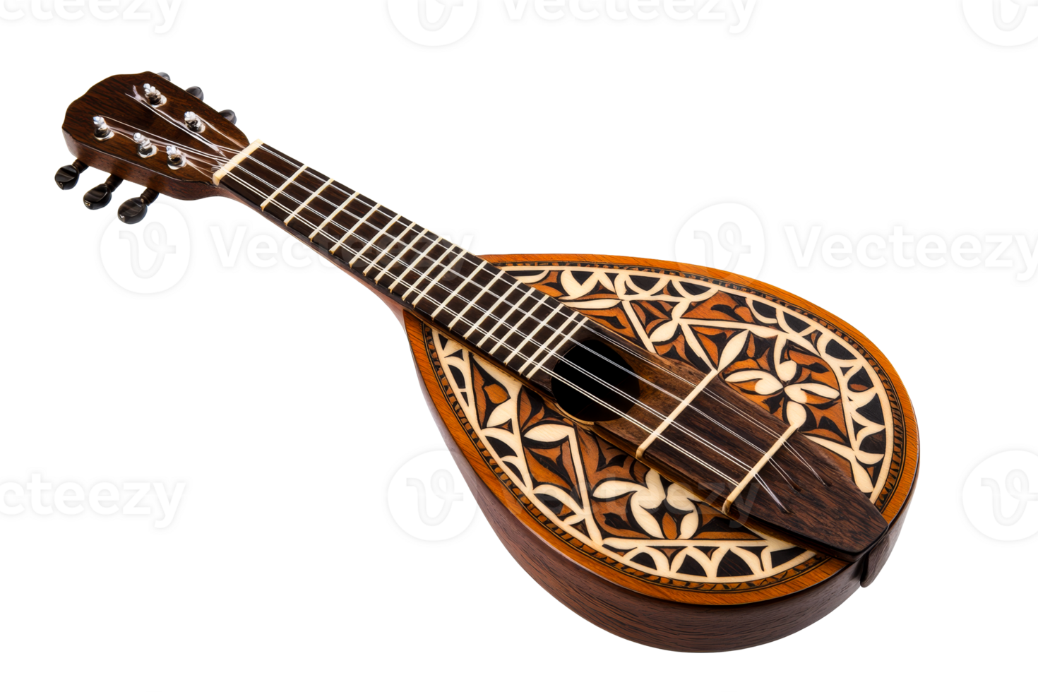 Beautifully crafted mandolin with intricate floral design png