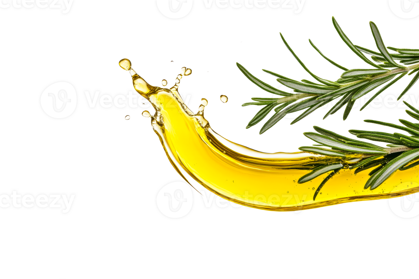 Olive oil splash with rosemary on a transparent background png