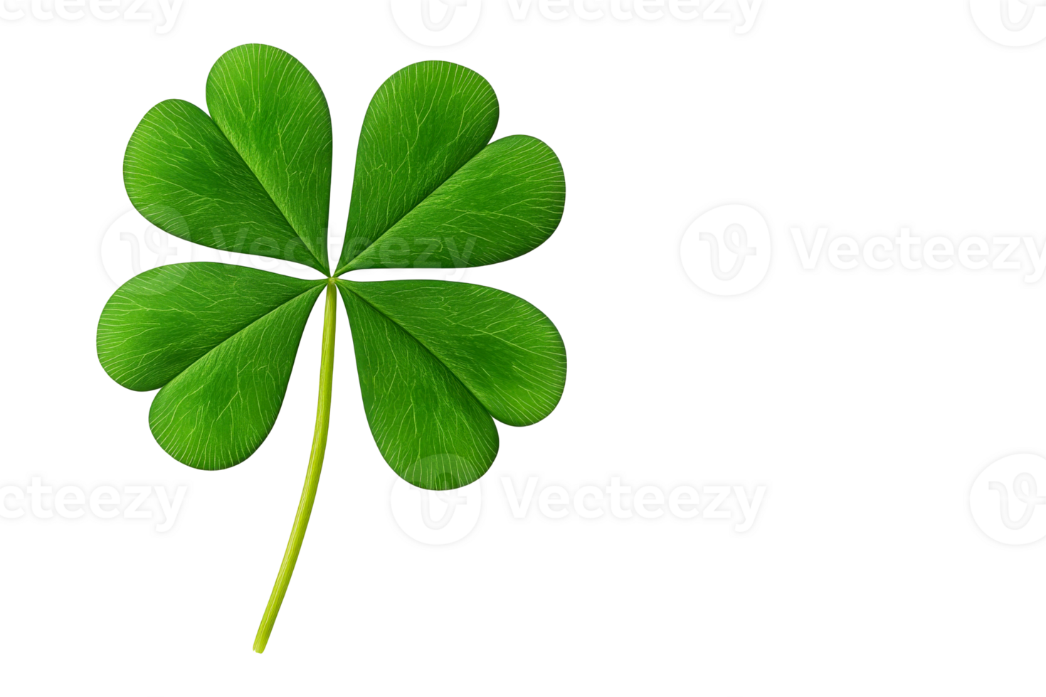 Four leaf clover with a transparent background for good luck png