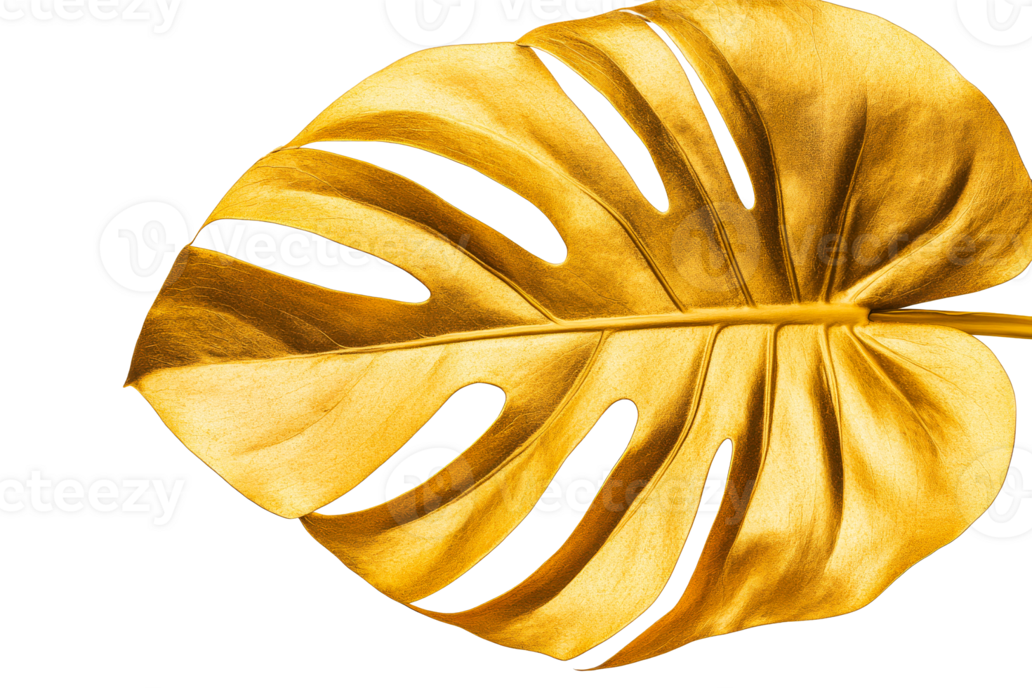 Golden monstera leaf on transparent background for decor png