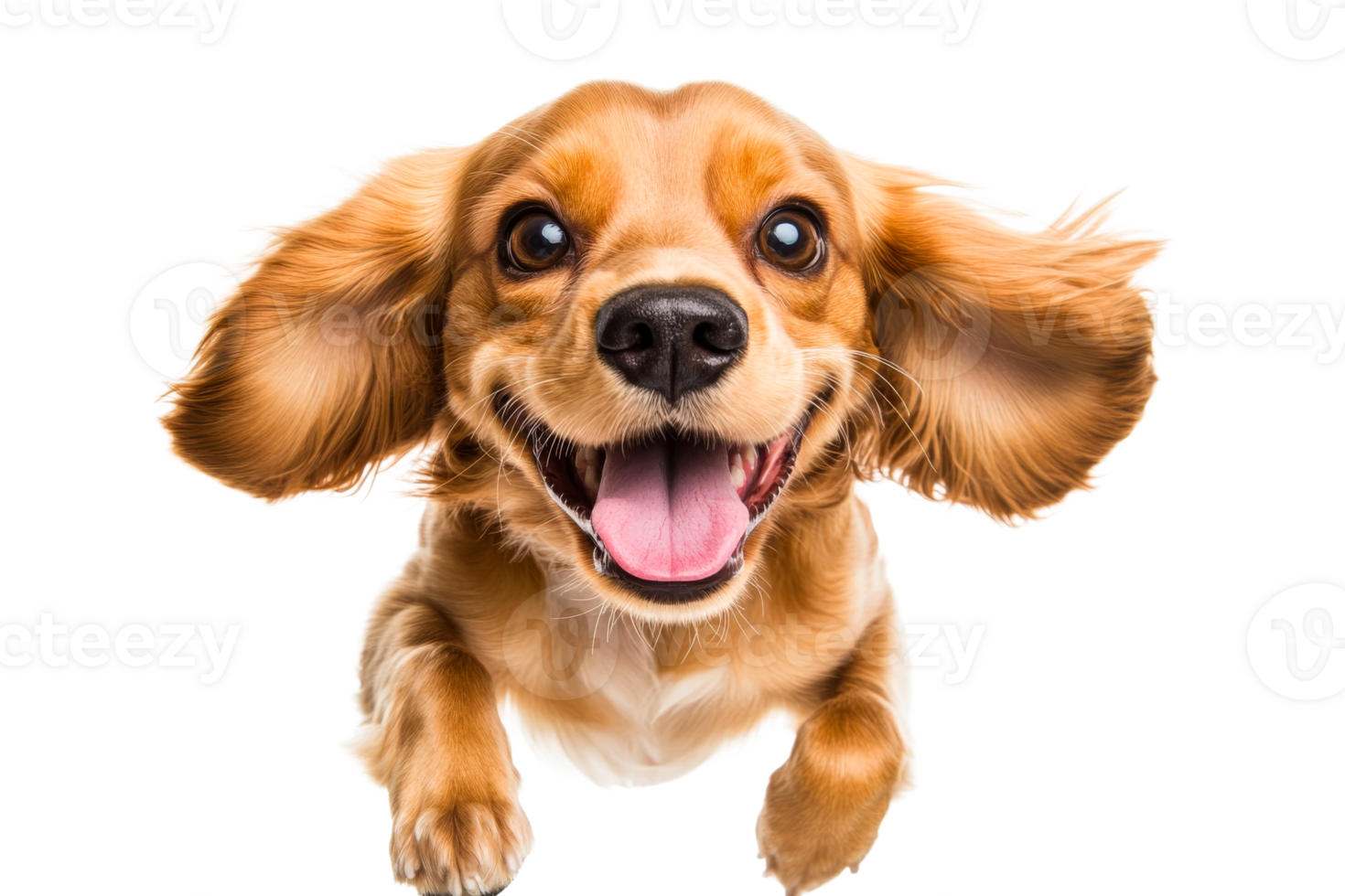 Happy dog jumping with joy in a playful mood on a bright day png