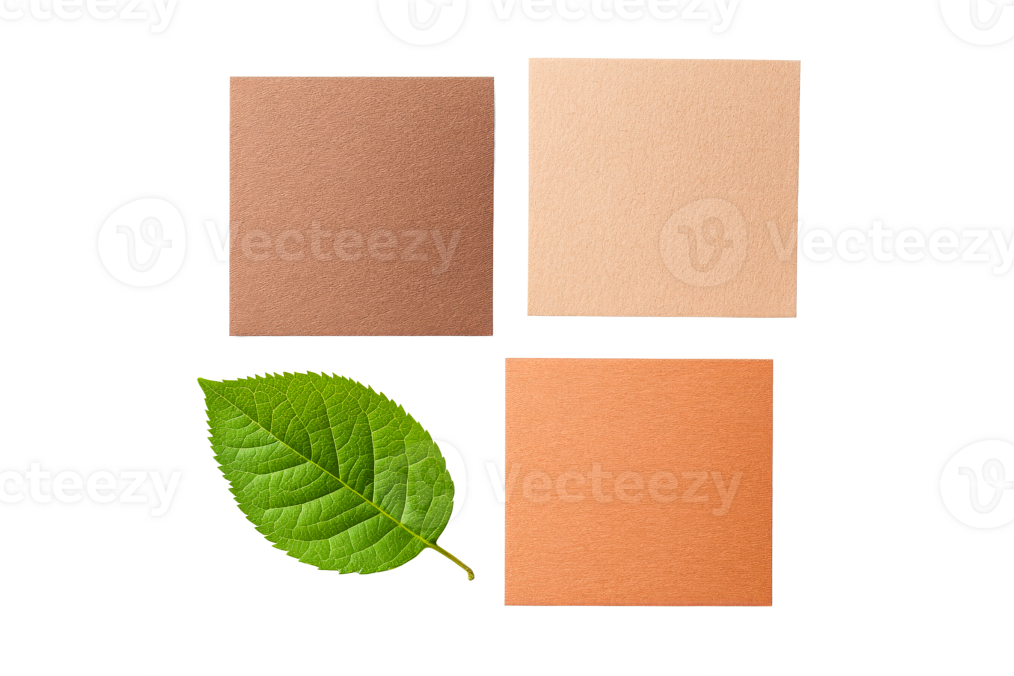 Color swatches of various skin tones next to a green leaf png