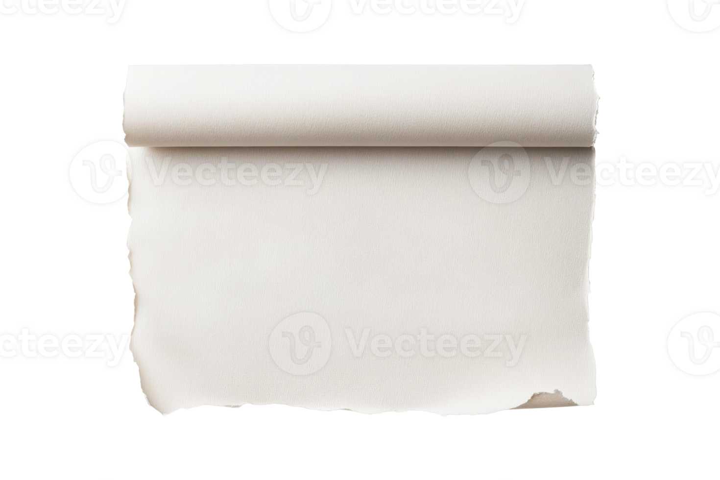 Blank rolled paper ready for creative projects and artistic expression png