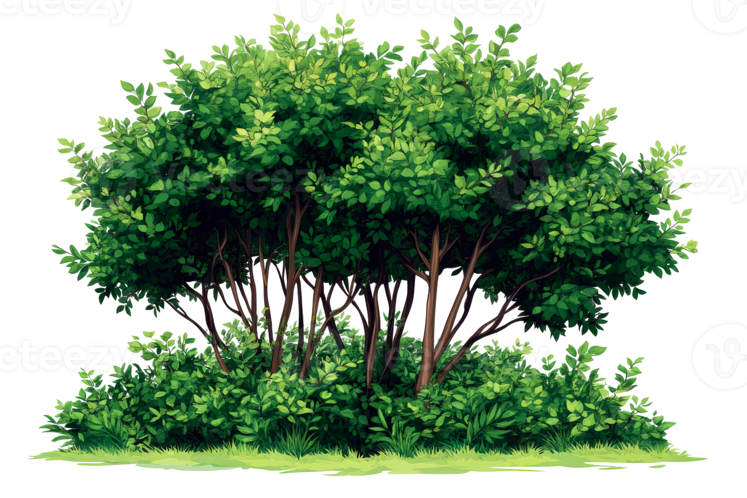 Lush green bush with thick foliage on transparent background png