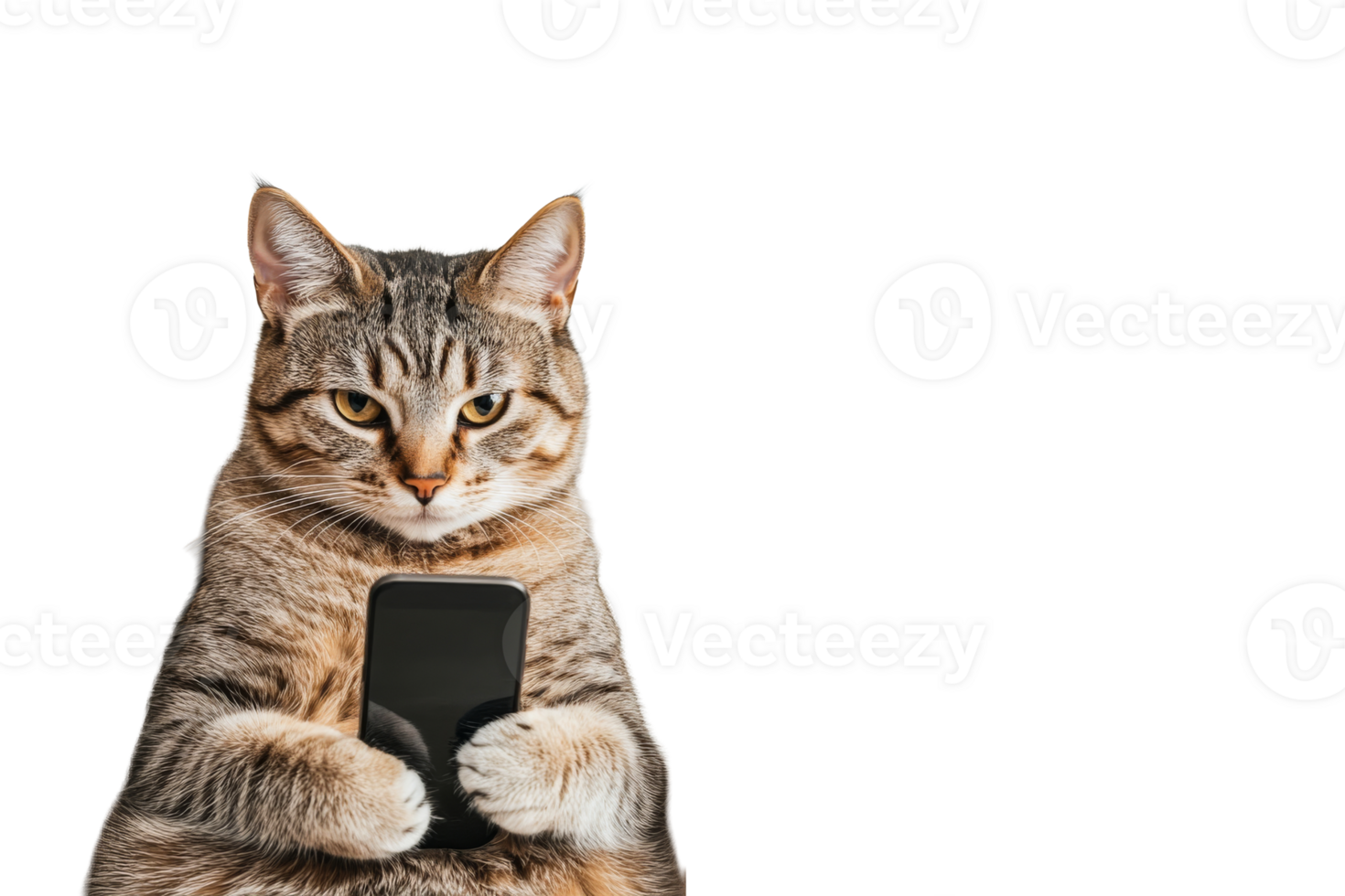 Cat with smartphone on transparent background during playful moment png