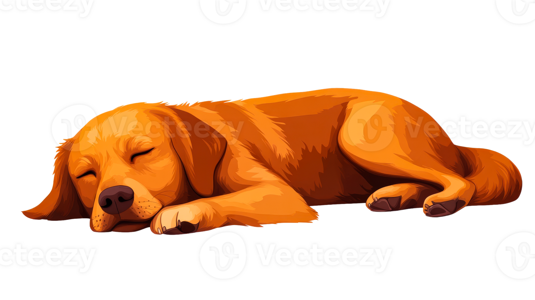Golden retriever puppy sleeping peacefully with a relaxed expression png